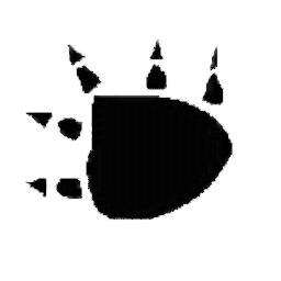 Summon Bear