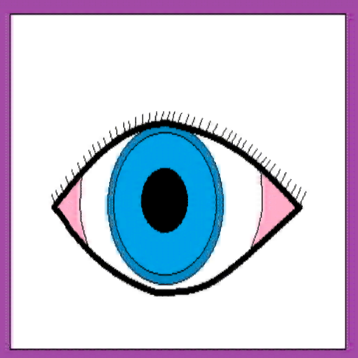 以眼还眼